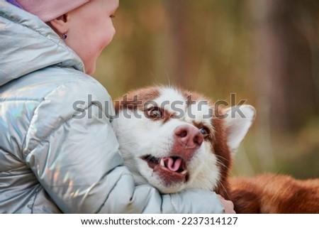 Cute little girl in pink hat and light blue jacket hugs Siberian Husky dog with stuck out tongue, funny meet of brown Husky dog and little girl. Happy girl and dog hugs on autumn forest background