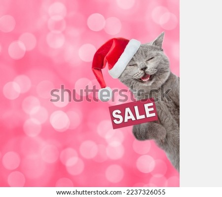 Happy cat wearing red christmas hat shows signboard with labeled "sale" and looks from  behind empty white banner. Shade trendy color of the year 2023 - Viva Magenta background. Empty space for text