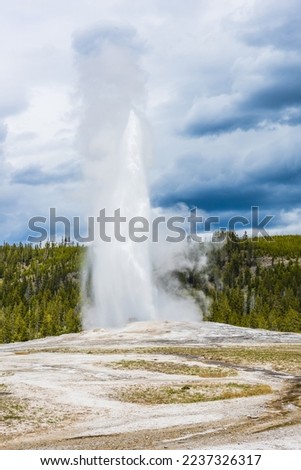 Old Faithful geyser erupting. Upper Geyser Basin (Old Faithful Area), Yellowstone National Park, USA Royalty-Free Stock Photo #2237326317