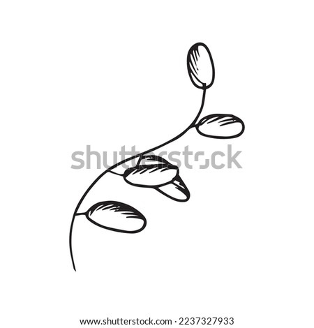 Hand Drawn Flower Leaf Vector Shape