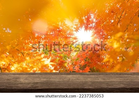 wooden table with autumn leaves
 bokeh background