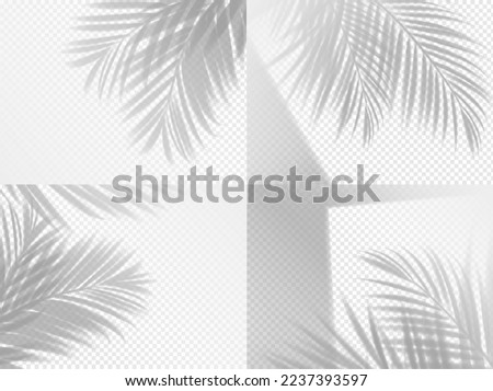 Palm shadow background overlay, transparent leaf and palm plant branch, vector. Summer leaves shadow overlay in light shade, realistic palm tree transparent effect, tropical jungle silhouette