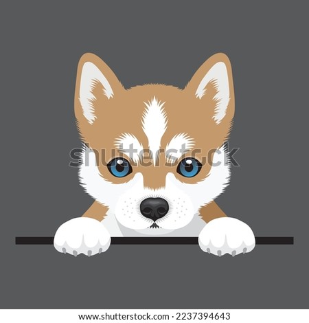 Vector image of a Siberian Husky brown dog. Cute puppy