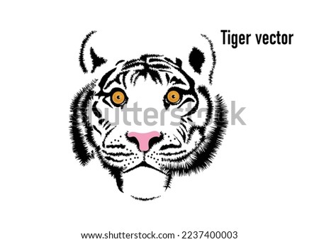 Picture of the face and eyes of a tiger. Animals. Big cats. Predatory mammals.