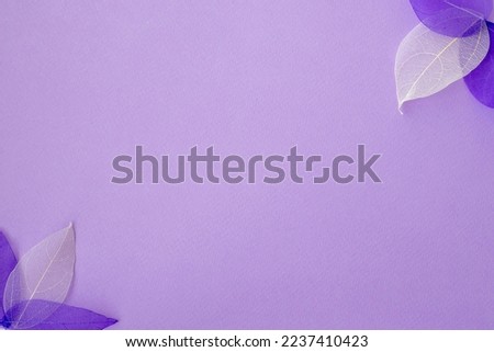 Purple background with skeletons of white and lavender leaves or petals in the corners of the leaf. Flat plan, top view, copy space. Design for text.