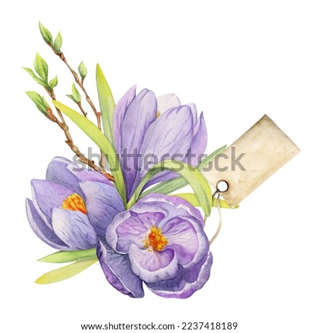 Watercolor hand drawn composition with spring flowers, crocus, leaves and stems, bow, gift tag. Isolated on white background. For invitations, wedding, greeting cards, wallpaper, print, textile