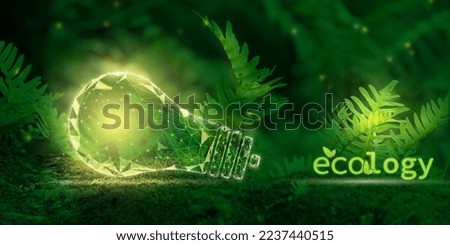 Ecology, recycling, green energy, safe electricity concept. A glowing light bulb and the inscription Ecology in the forest among the ferns. Low-poly frame design on photography