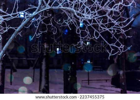 Tree branches in the form of an arch close-up, covered with snow and ice after night by the light of lanterns.