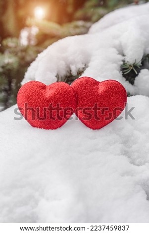 Symbol of love hangs on snow-covered spruce
