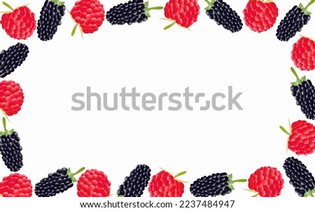 The raspberries and blackberries frame clip art on a white background. The high quality image of the garden berries for web pages, backgrounds, templates, textures and other. 