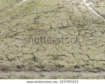 Dry cracked earth from heat in Thailand
