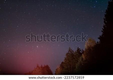 Starry sky and many bright stars, trees in the foreground.