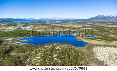 Typical norwegian landscape in the Dovrefjell national park on a beautiful summer day with blue sky Royalty-Free Stock Photo #2237579841