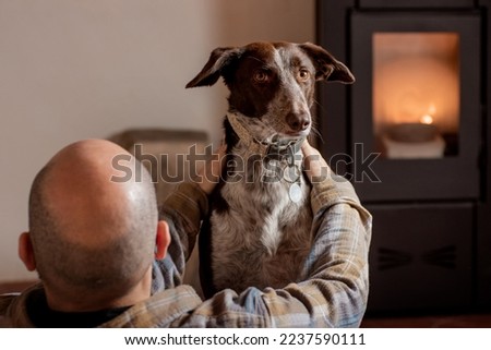 bald man on his back in an armchair, elegant dog on top of the person looking at the camera, pellet stove with burning flame in the background
