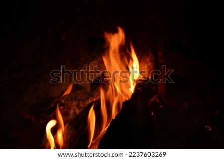 Pictures of fire and flames of wood