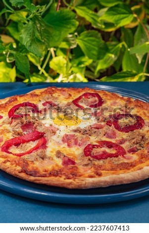 Vertical photo of pizza with egg on a plate