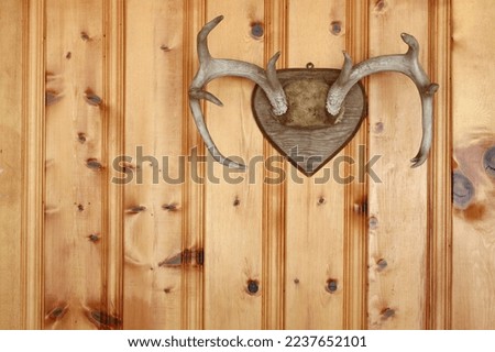 Deer antlers on wood paneling wall. Royalty-Free Stock Photo #2237652101