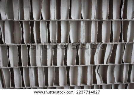 Cross section of paper corrugated cardboard structure