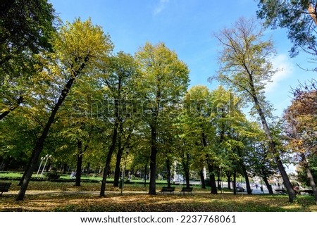 Landscape with old trees with green and yellow leaves in a sunny autumn day in Parcul Carol (Carol Park) in Bucharest, Romania