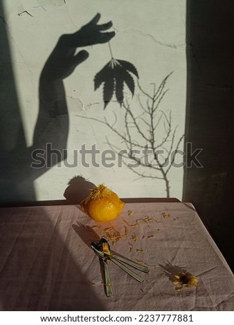 Still life with lemon and flowers 