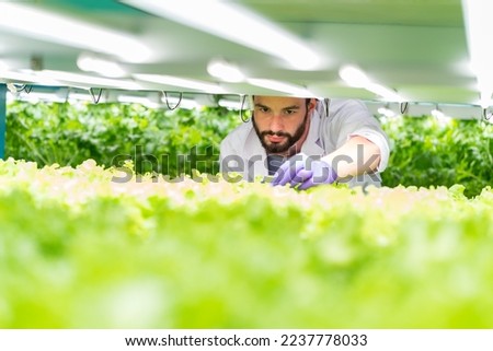 Male scientist analyzes and studies research in organic, hydroponic vegetables plots growing on indoor vertical farm Royalty-Free Stock Photo #2237778033