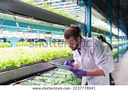 Two male and female scientist analyzes and studies research in organic, hydroponic vegetables plots growing on indoor vertical farm Royalty-Free Stock Photo #2237778041