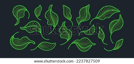 Tea leaves, art set. Graphic line plant, green foliage isolated on black background. Artdeco simple nature collection