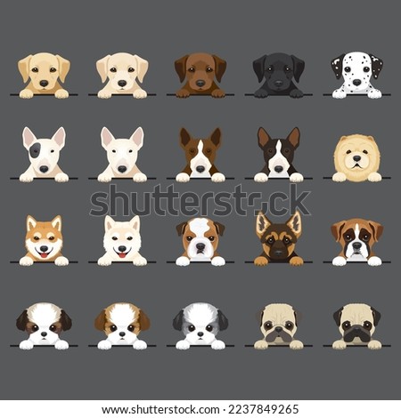 Dog Breeds set 20 Types Puppy Portrait Vector Illustration Image