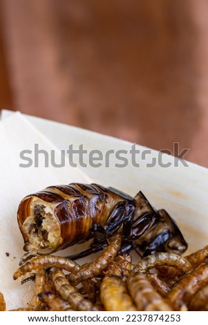 Fried wood grubs, mealworms and cockroach on a wooden chopping board. Fried insects as a source of protein in the diet.
