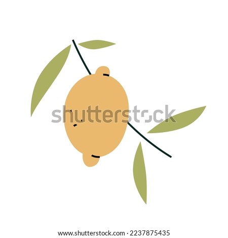 lemon branch with leaves isolated on white background. Vector hand drawn illustration