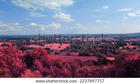 editred to infrared look, surrealist landscape, otherworldly look, looking through a different pair of eyes
