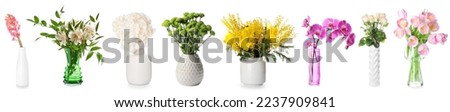 Set of beautiful fresh flowers in stylish vases on white background Royalty-Free Stock Photo #2237909841