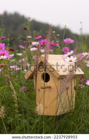 This picture is a birdhouse in beautiful flower garden.