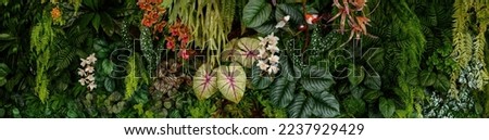 Dark green leaves in the park background image,Panorama Royalty-Free Stock Photo #2237929429
