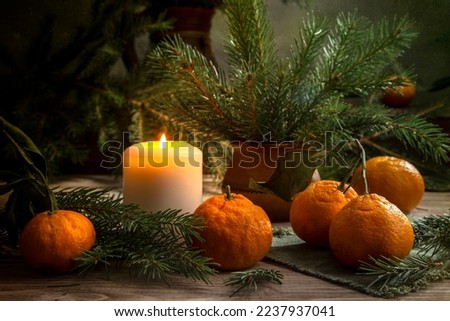 Christmas tangerines and fir branches on a wooden table. Fir branches and a candle create a holiday mood.