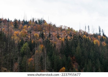 
Tatra Mountains in autumn scenery