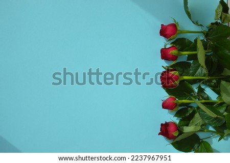 Valentines day background, Festivecard with red roses. Place fo text Royalty-Free Stock Photo #2237967951