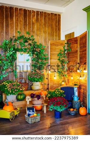 autumn background for a photo shoot in a photo studio. traditional autumn decor, bouquets, artificial plants and pumpkins.