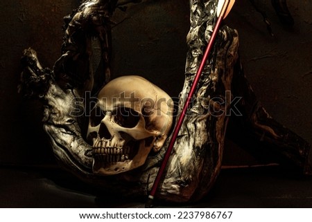 Human skull and old wooden branch. Skull and arrow. Still life in a low key with a skull. Composition with a skull and an arrow.