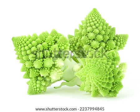 Romanesco broccoli cabbage isolated on a white background. Roman cauliflower. BIO vegetables.