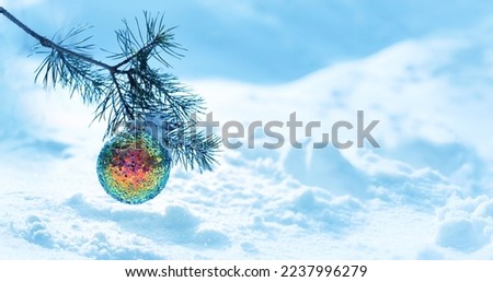 beautiful bright glittering ball on snowy christmas tree. Winter nature background, festive season. Christmas and new year holidays. copy space. banner. template for design