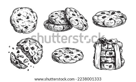 Hand drawn sketch style chocolate chip cookies set. Single whole and crumbled biscuits. Vintage retro ink style vector illustrations. Best for package and menu design. Isolated on white background.