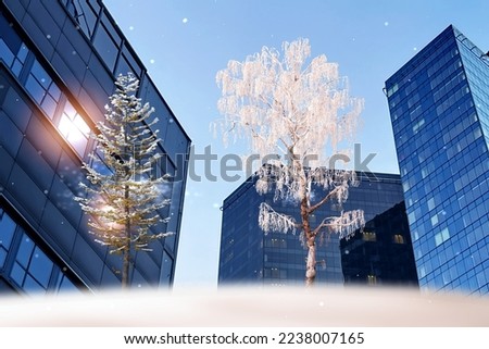 Winter city ,trees covered by snow ,modern buildings ,light reflection in windows , snowfall ,business centre ,urban cityscape ,Tallinn 