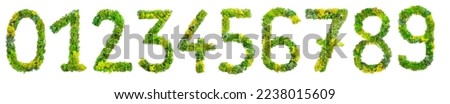 0123456789 numbers, made with green lichen isolated on white background, banner