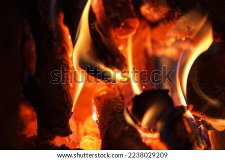 Bright fire of high temperature from firewood burns in fireplace, background
