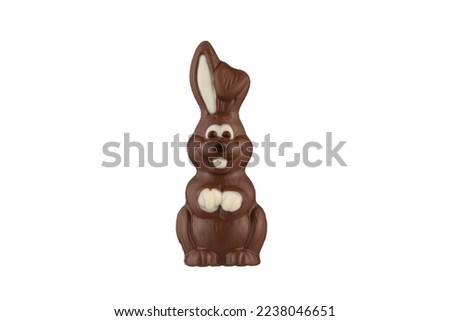 Chocolate in the form of a rabbit on a white background. Chocolate Bunny.