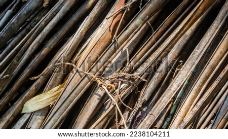 dry palm leaf texture as background