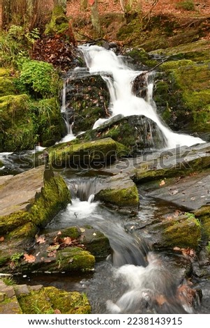Selke Waterfall in the Harz Mountains, Germany Royalty-Free Stock Photo #2238143915