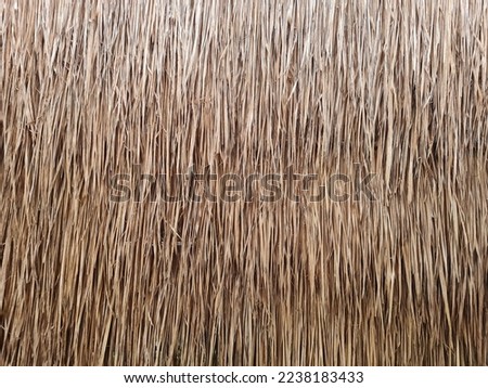Thatched roof covered with Blady grass or Imperata cylindrica. Natural background and texture. Traditional roof. Royalty-Free Stock Photo #2238183433