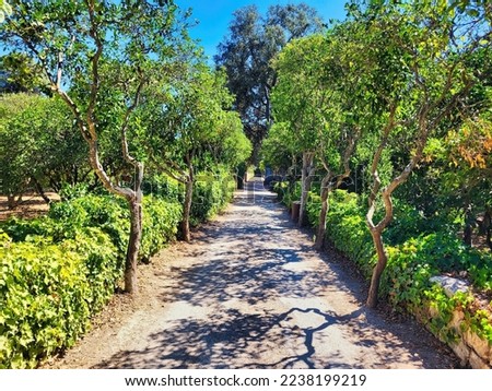 Archway to the park. A peaceful green forest road. Travel relax in the holiday walk in the forest. The entrance to a hidden sitting area at the arboretum. Springtime in the city. 2 hectares